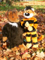 Bär und Tiger