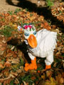 Ente