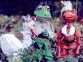 Wer küßt den Frosch?
