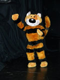 Der Tiger in Pamnama